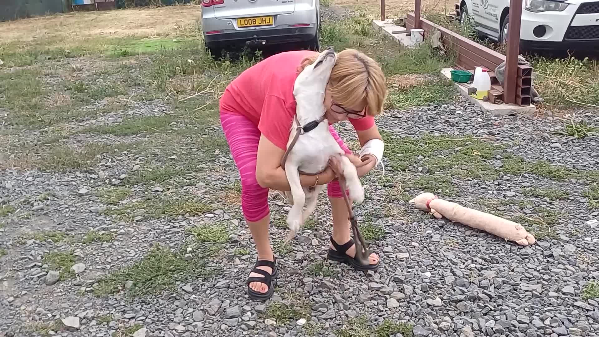 Mixed Breed dogs for adoption: 🌸 ALICE — A GENTLE LITTLE GIRL FULL OF LOVE 🌸 in Nottingham - Video 3