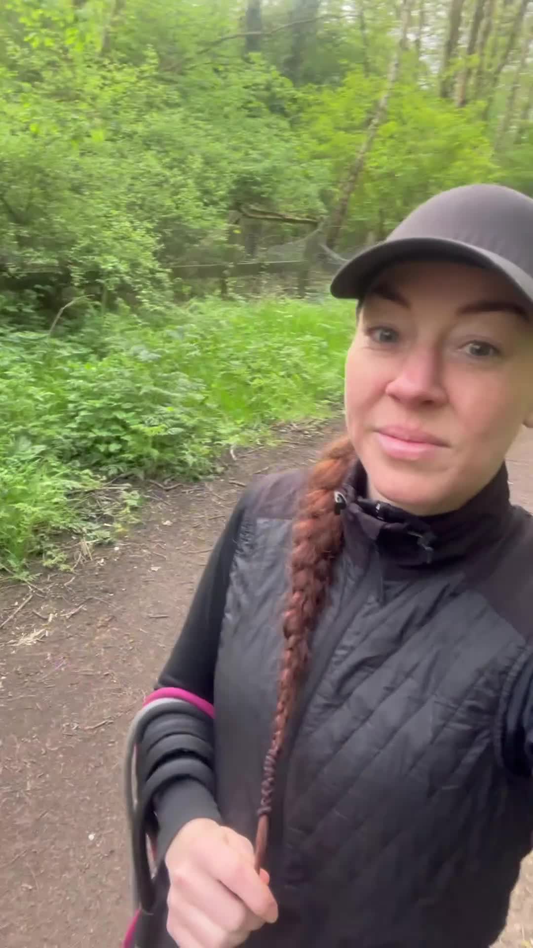 American Bull Staffy dogs for sale: Loving female for adoption  - Video 2