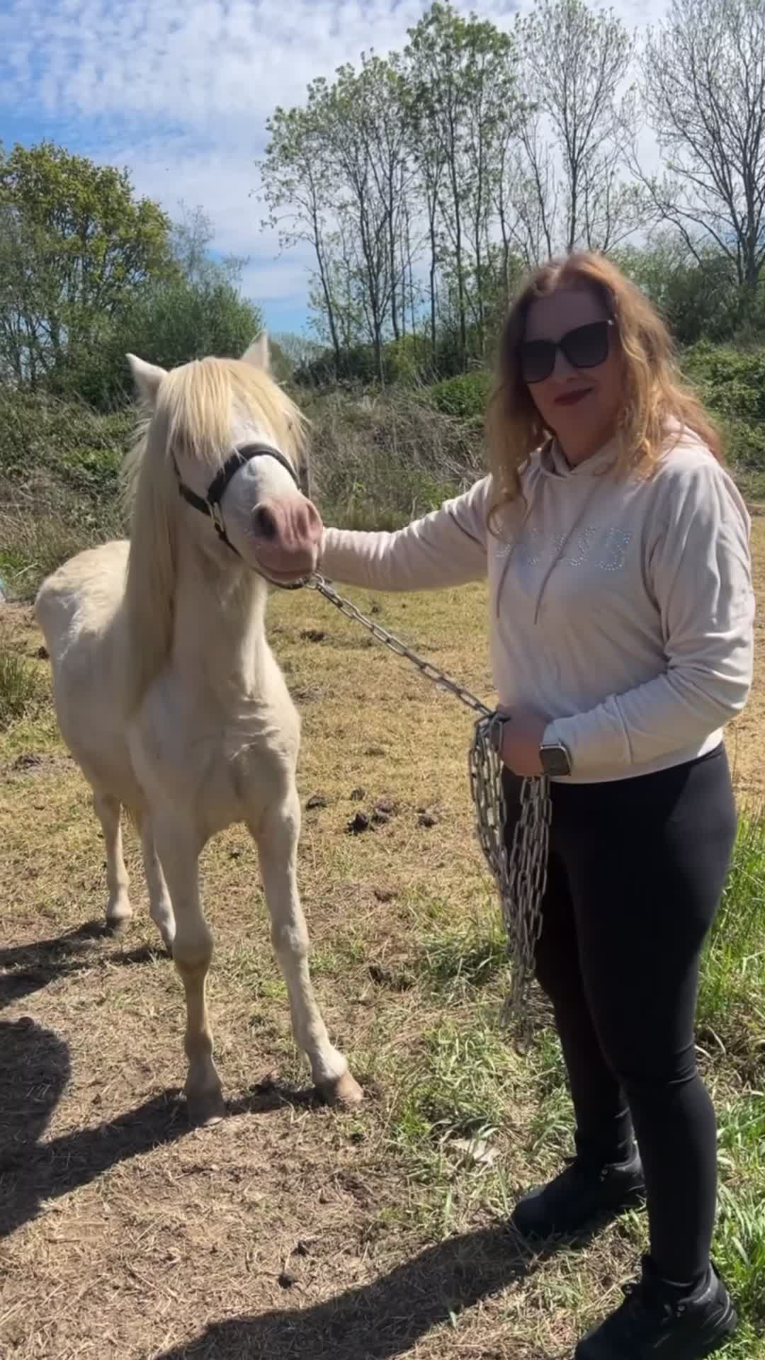 Welsh Section A horses for sale: Registered Welsh SectionA filly full WPCS pedigree - Video 4