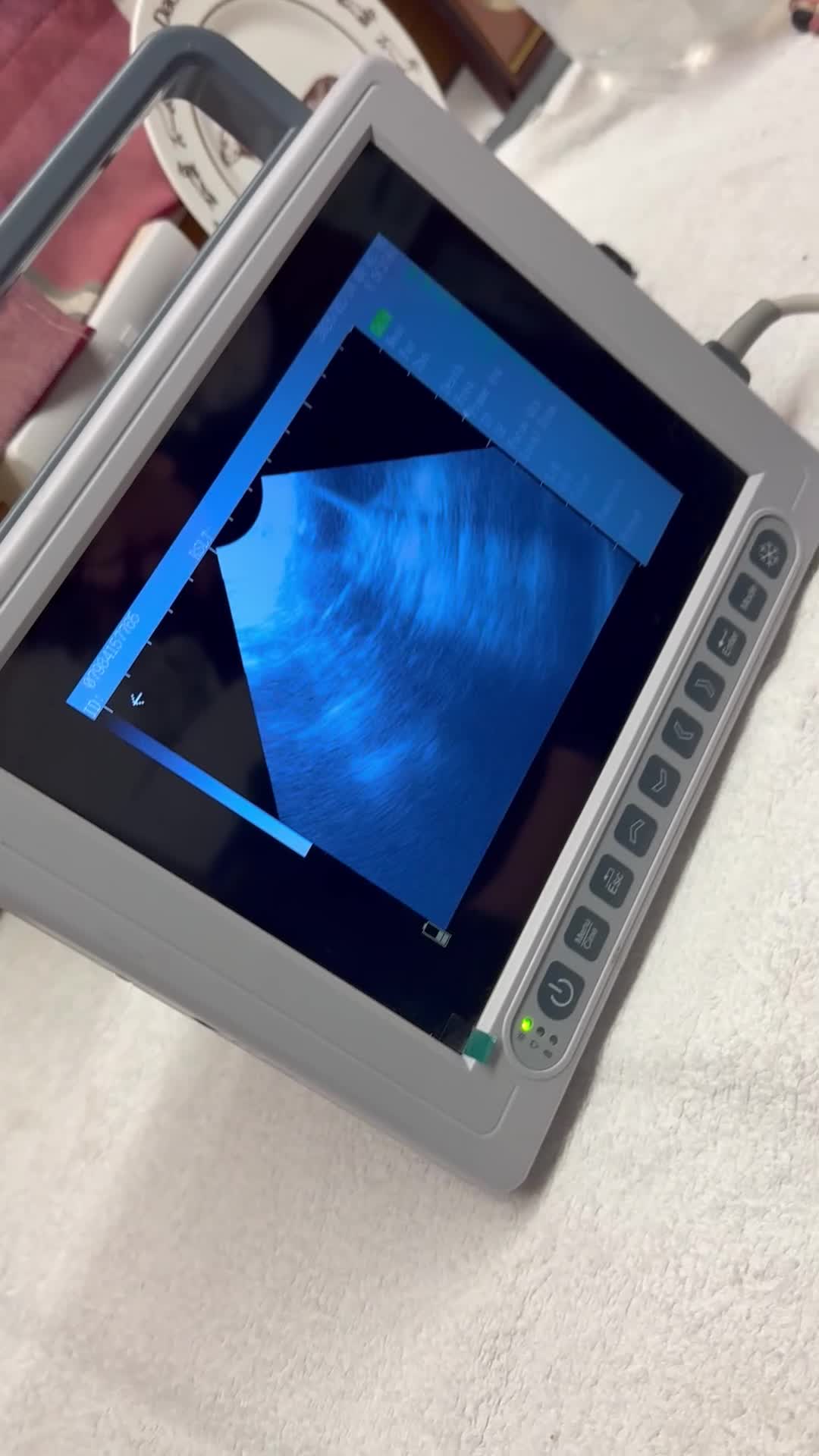 Cockapoo dogs for sale: WAITING LIST FOR COCKERPOO - Video 1