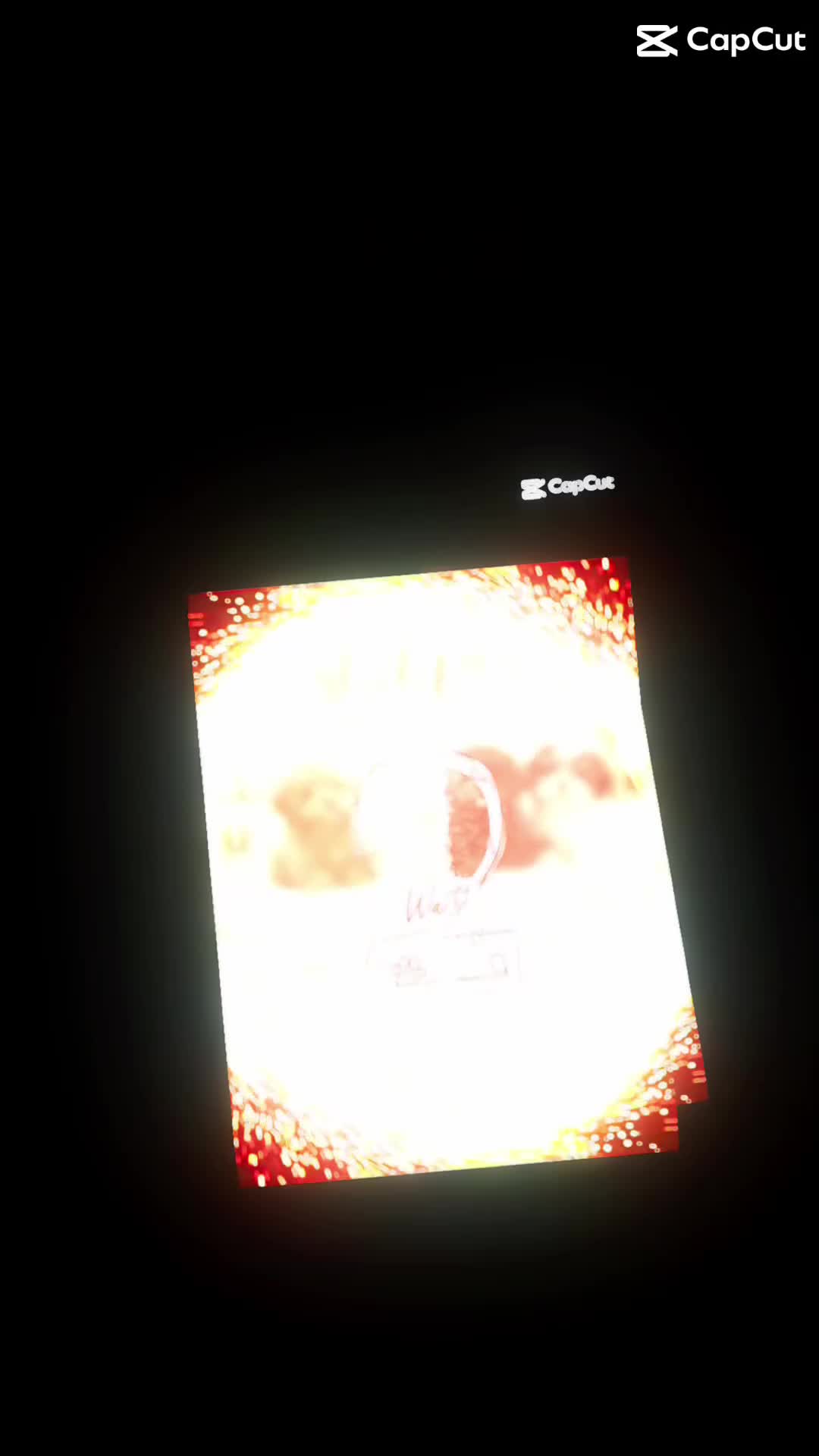 Miniature Poodle dogs for sale: Waiting list chocolate & Merle miniature poodles  - Video 1