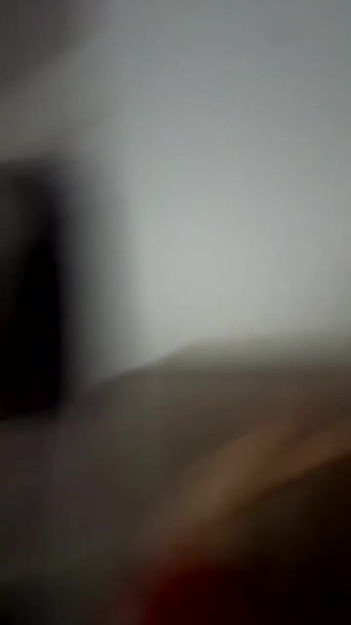 Chinchilla rodents for sale: chinchilla and cage  in Manchester - Video 2
