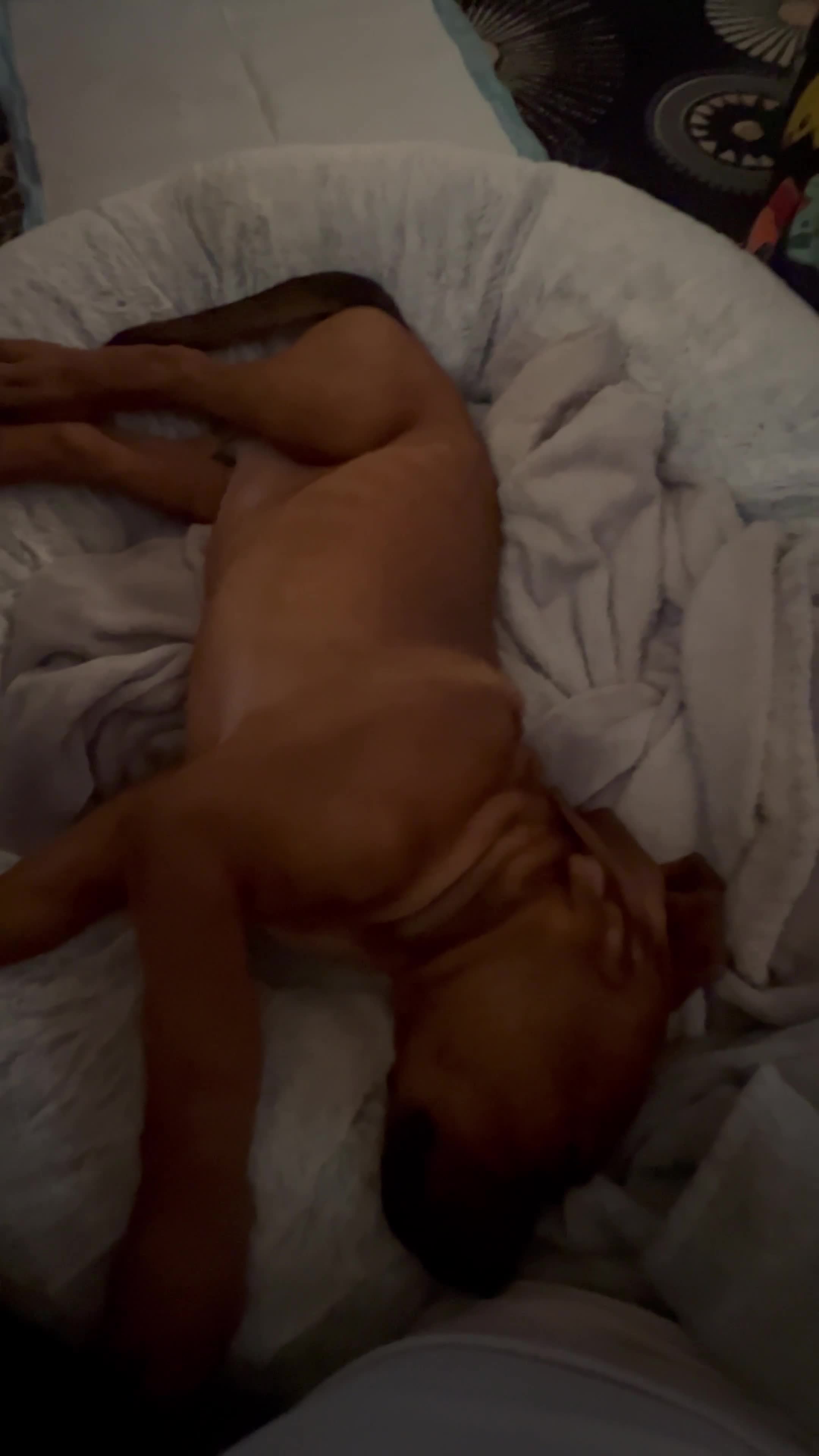 Mixed Breed dogs for sale: Cane Corso Puppy 3 months old  - Video 2