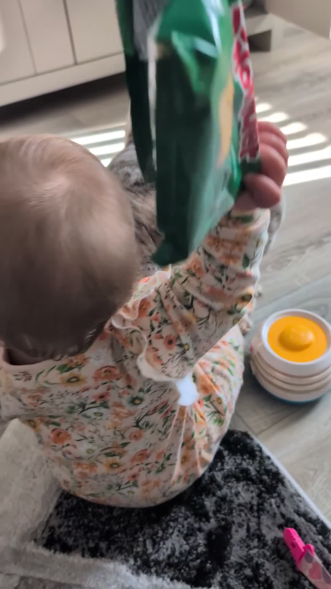 French Bulldog dogs for sale: Beautiful 11 month old merle French Bulldog  - Video 1