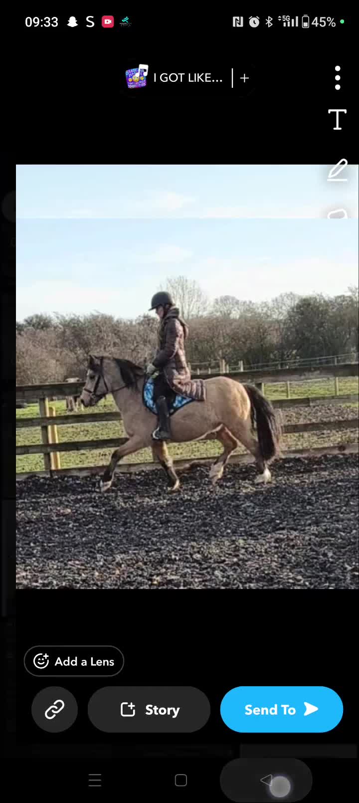 Welsh Section C horses for sale: Rising 4 registered Welsh C gelding  - Video 1