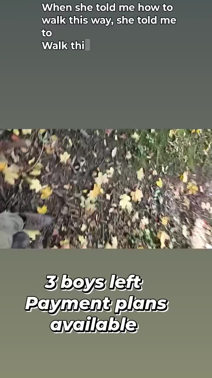 Mixed Breed dogs for sale: Harlequin cane corso X American bulldogge - Video 1