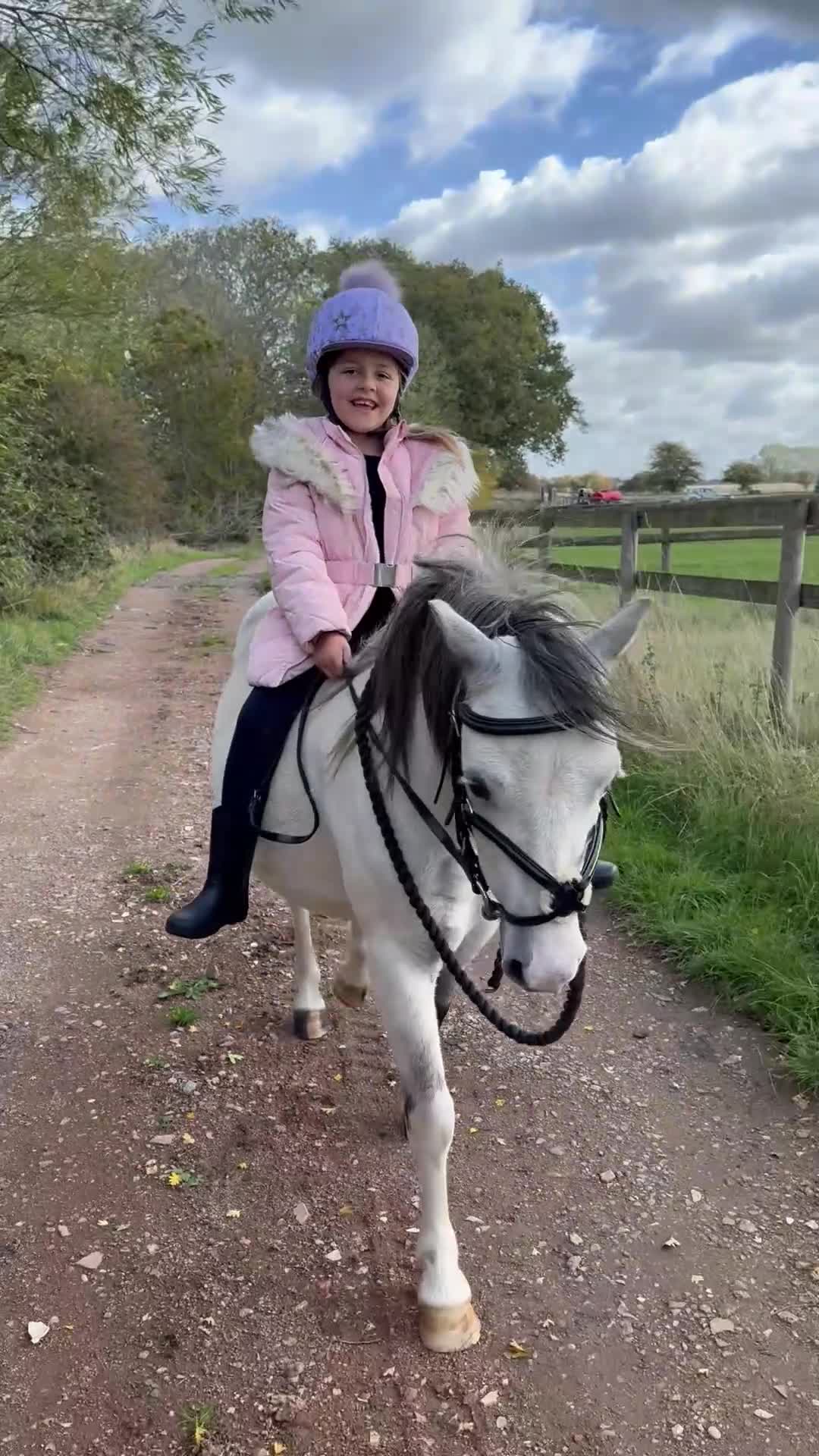 Welsh Section A horses for sale: Ideal first pony/LR - 5 year old gelding  in Rugby - Video 1