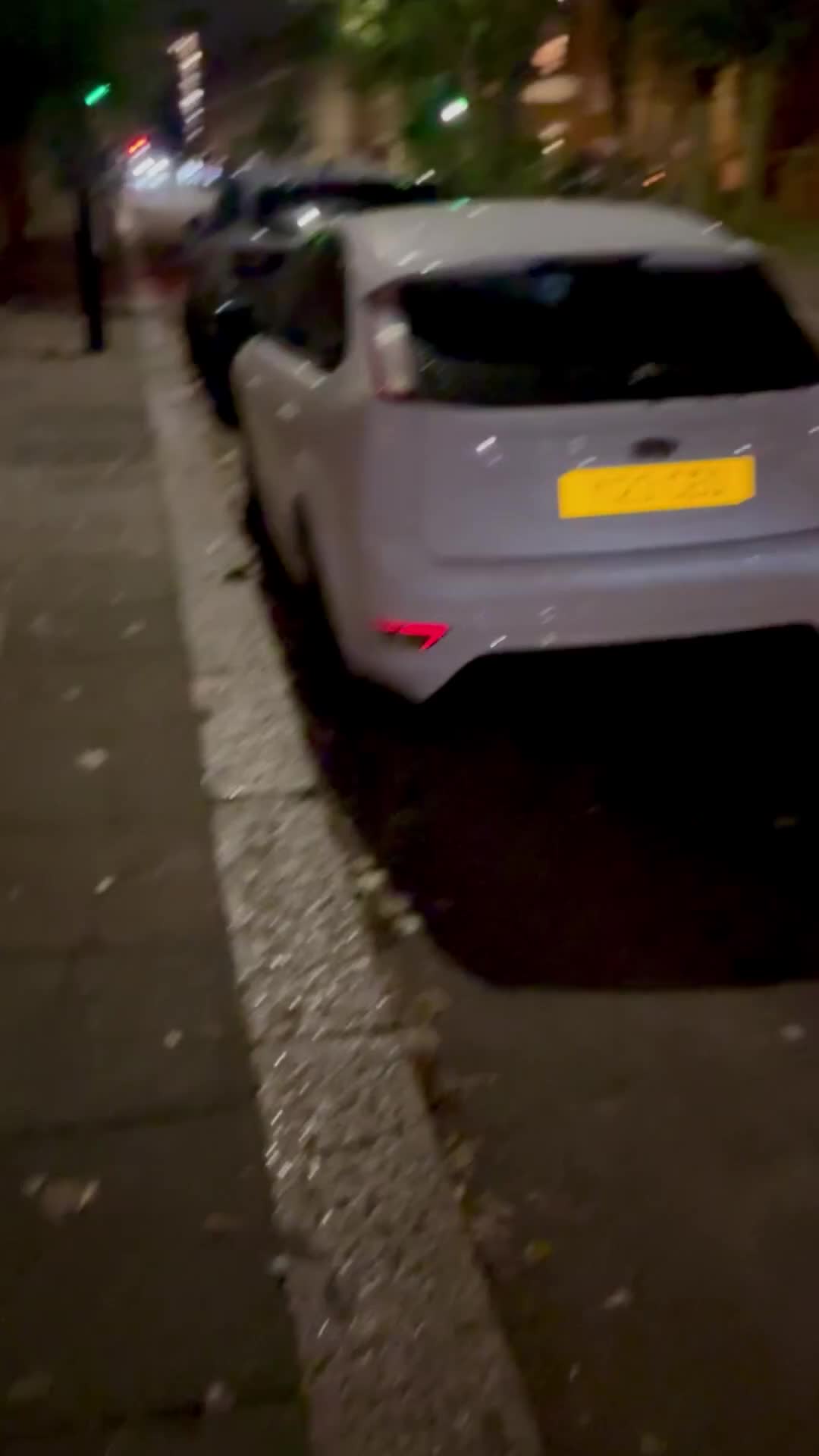 English Bulldog dogs for sale: Rebel  - Video 2