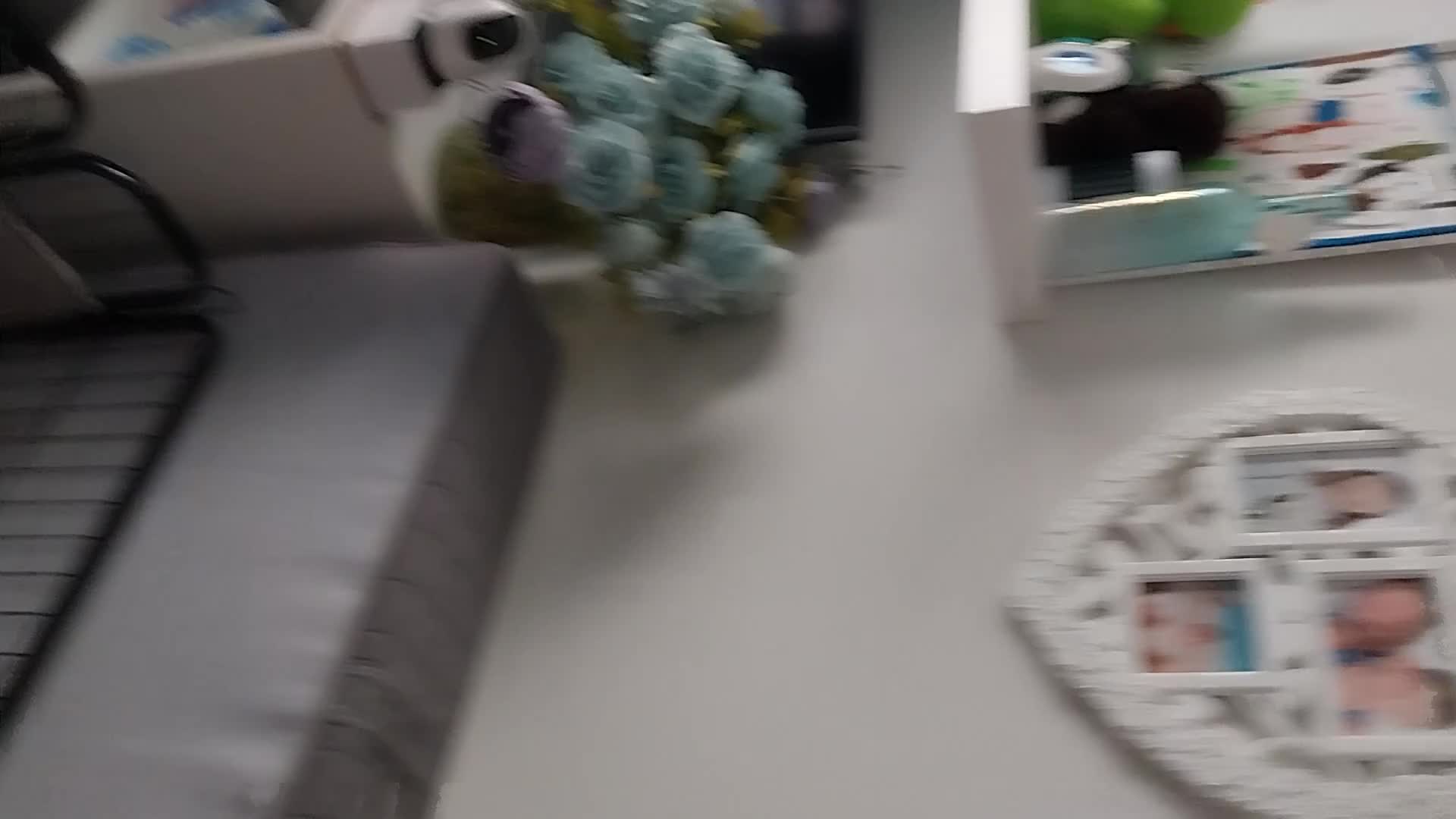 Yorkshire Terrier dogs for sale: Miniature Yorkshire Terrier Puppies  - Video 1