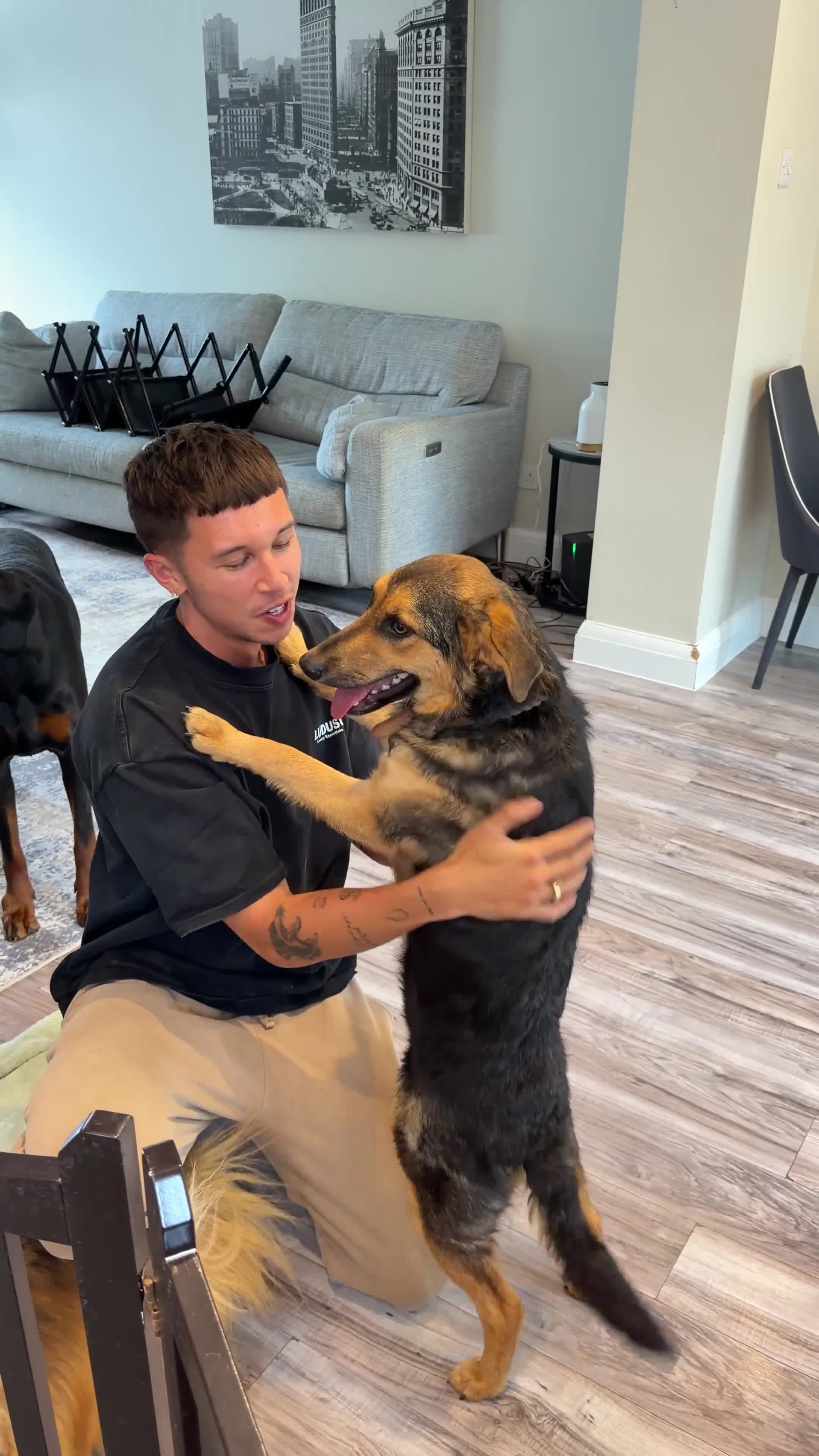 Mixed Breed dogs for sale: Small Cookie is Looking for Forever!  - Video 1