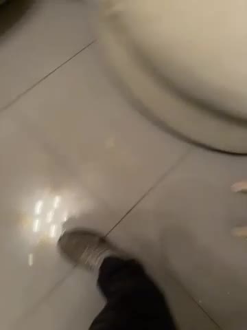 French Bulldog dogs for sale: French bulldogs  - Video 2