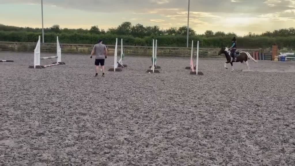 Other Breed horses for sale: Sparky in Redcar - Video 3