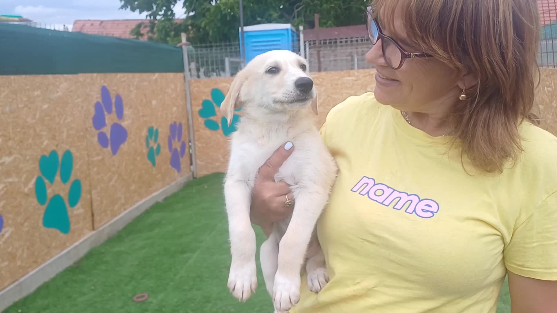 Mixed Breed dogs for adoption: 🌸 ALICE — A GENTLE LITTLE GIRL FULL OF LOVE 🌸 in Nottingham - Video 2