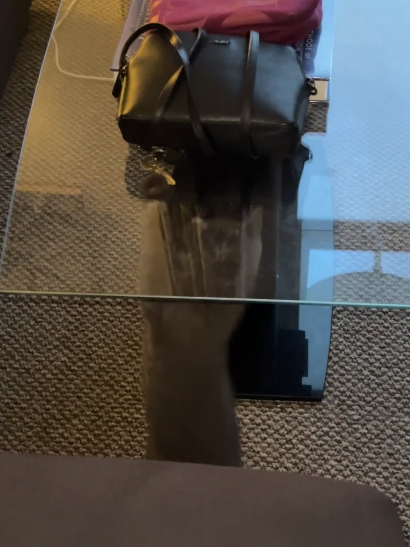 Mixed Breed cats for sale: Gorgeous and playful little Kitten - Video 2