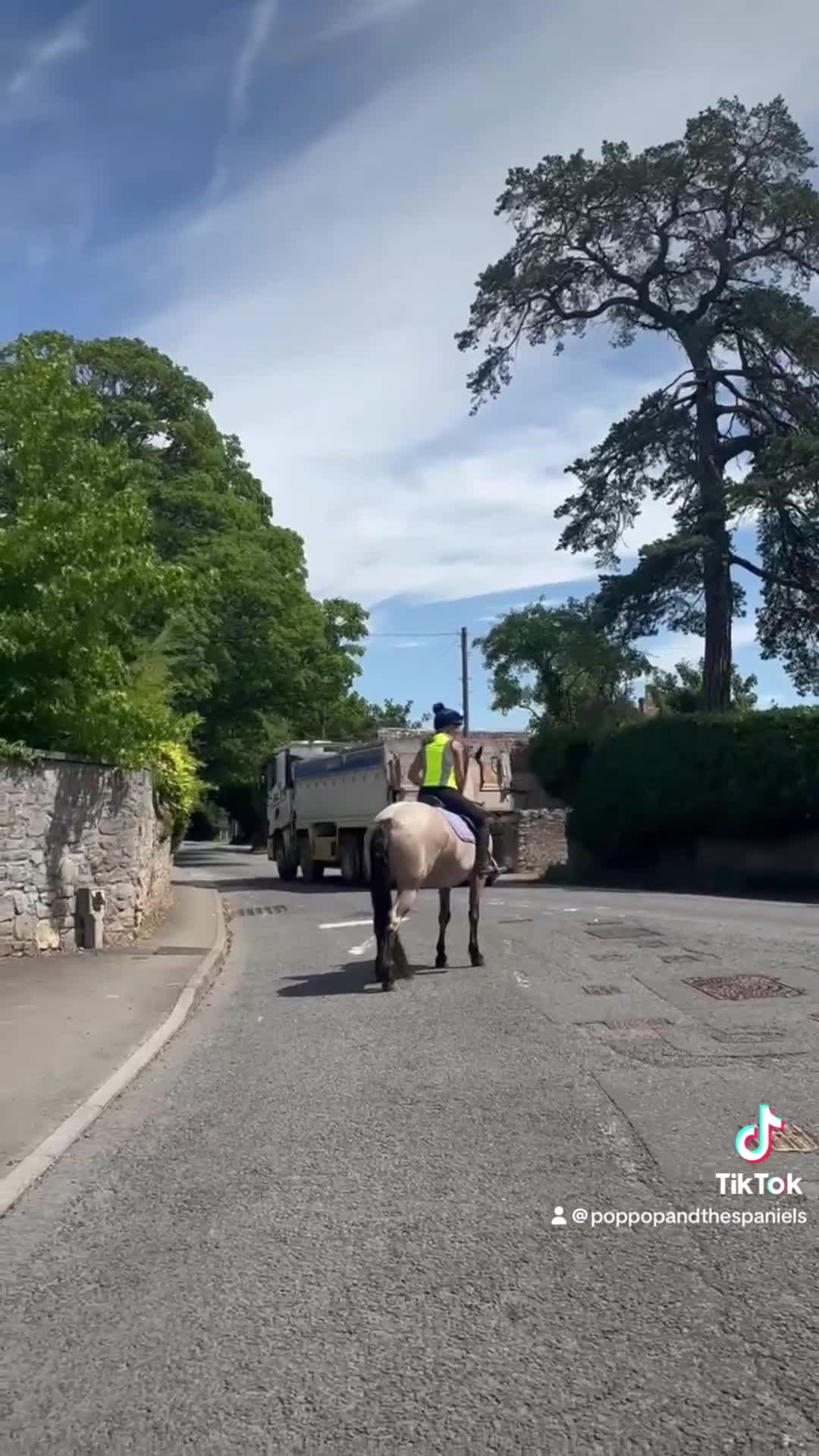 Connemara horses for sale: Super Connie Mare - Video 2