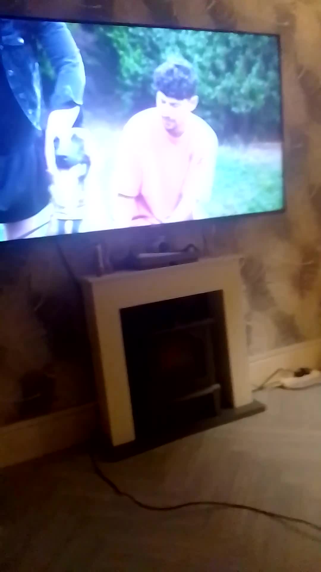 Poochon dogs for sale: 11 month old poochon - Video 1