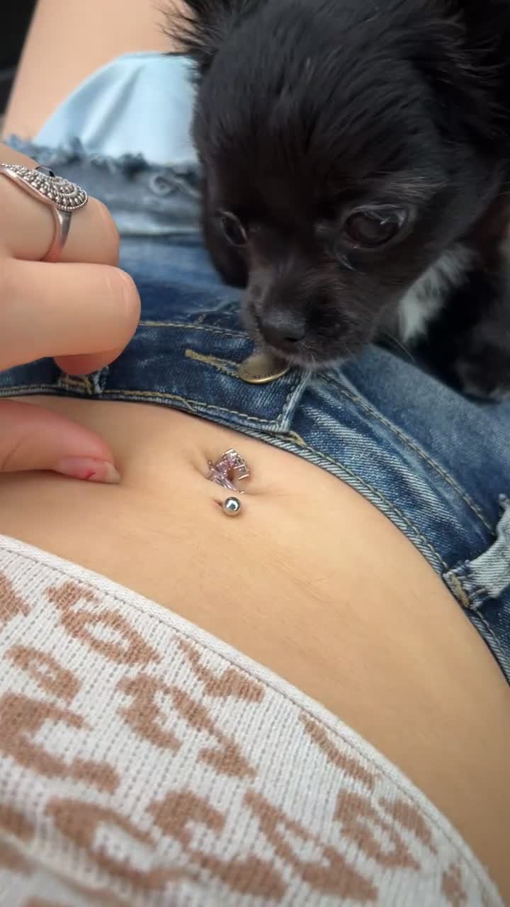 Chihuahua dogs for sale: 2 BEAUTIFUL BABIES 💗💙 - Video 3