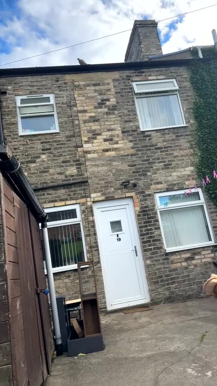 Mixed Breed dogs for sale: Mixed breed female dog - Video 2