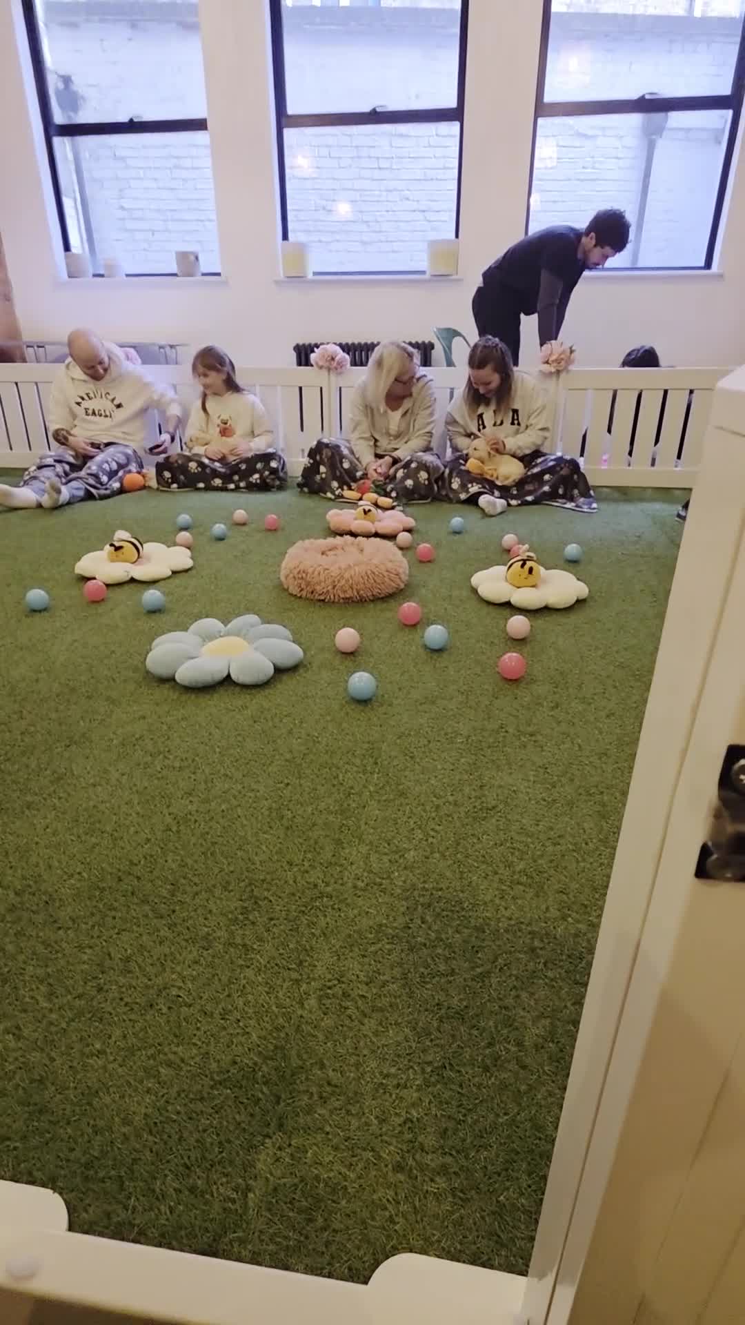 Golden Retriever dogs for sale: KC Golden Retriever Puppies-Excellent Temperament  - Video 2