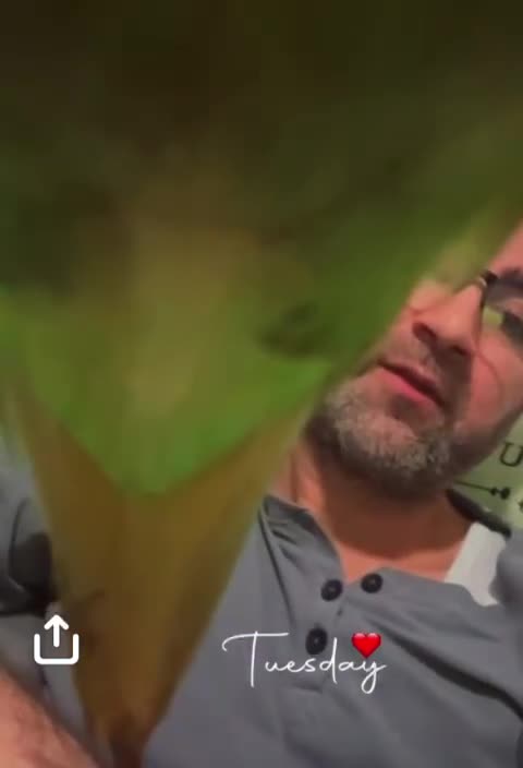 Ringnecks birds for sale: Female Indian ring neck for sale,Negotiable price. - Video 1