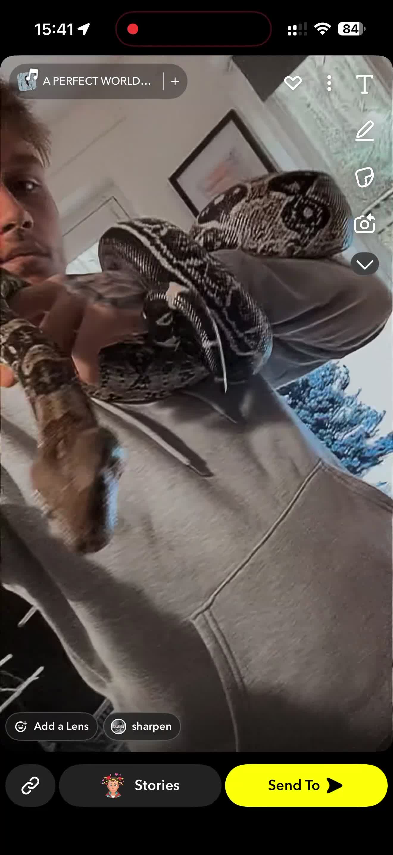 Boa Snake reptiles for sale: LOOKING FOR NEW HOME ASAP - Video 2