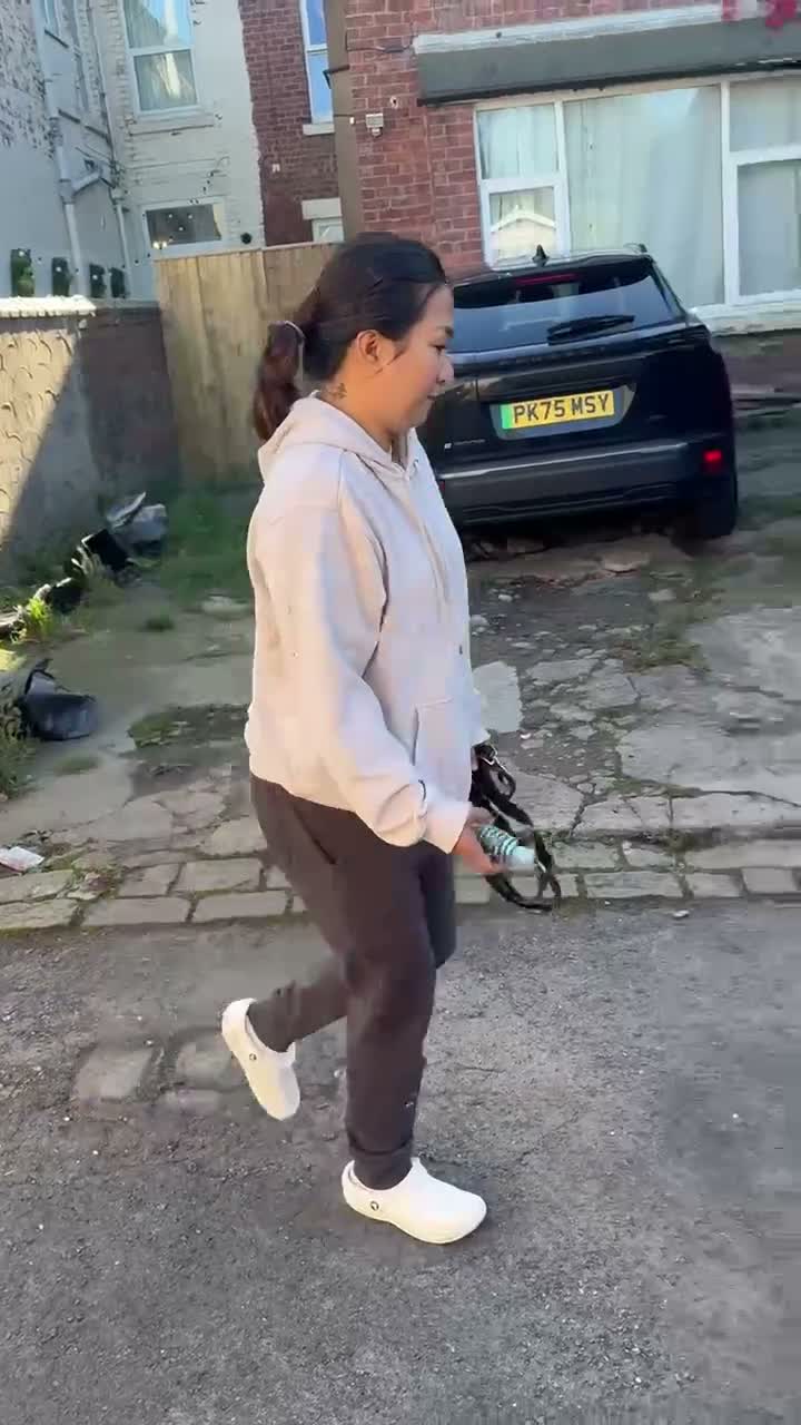 Mixed Breed dogs for sale: Labrador/Staffy 7 months old in Blackpool - Video 1