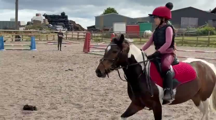 Other Breed horses for sale: Sparky in Redcar - Video 1