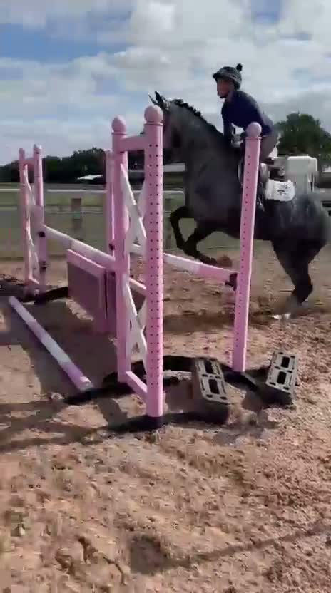 Irish Sports horses for sale: Silver – 16hh, 5-Year-Old Steel Grey Mare - Video 1