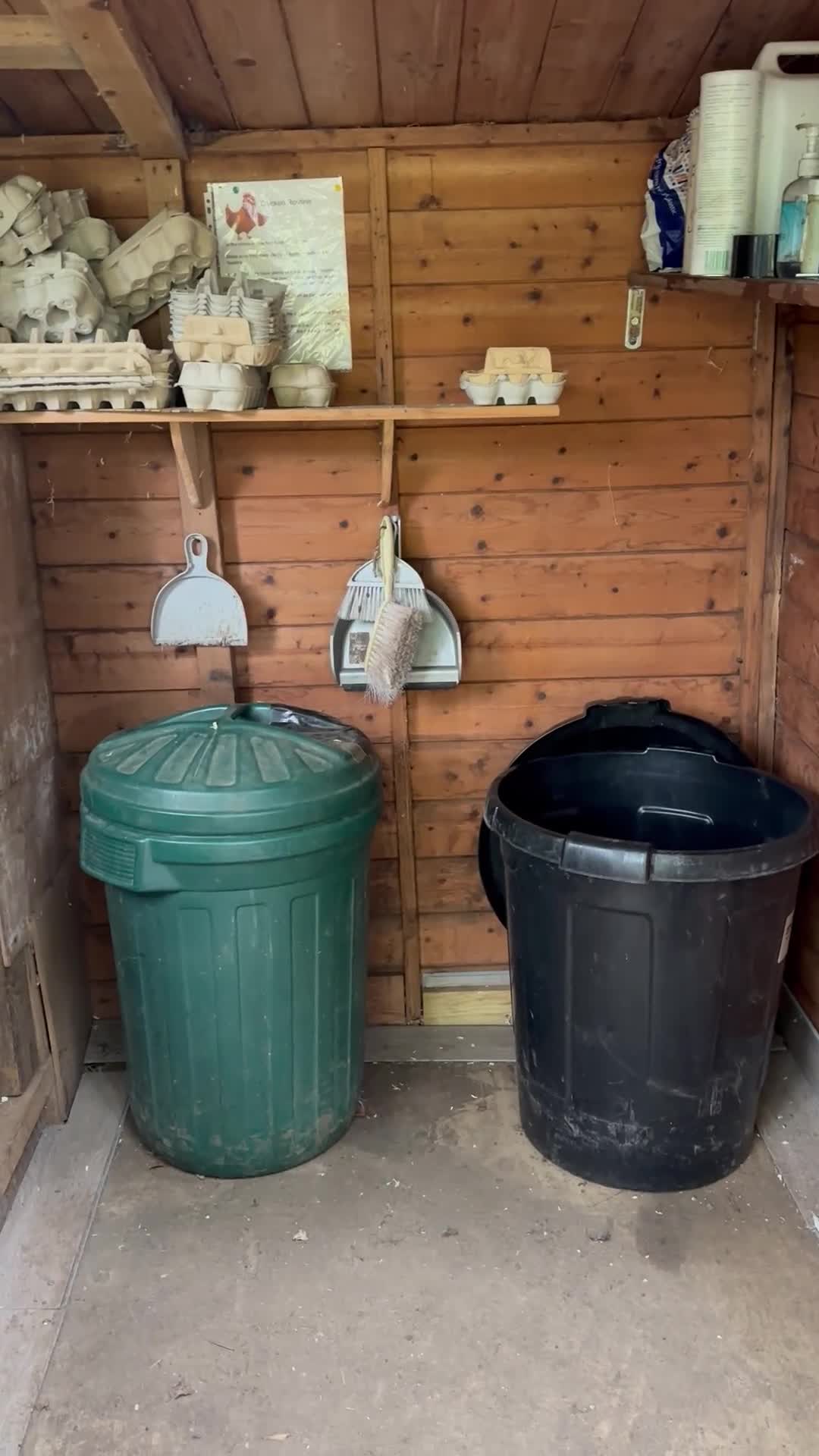 Chickens poultry for sale: Full chicken set up with chickens  - Video 2