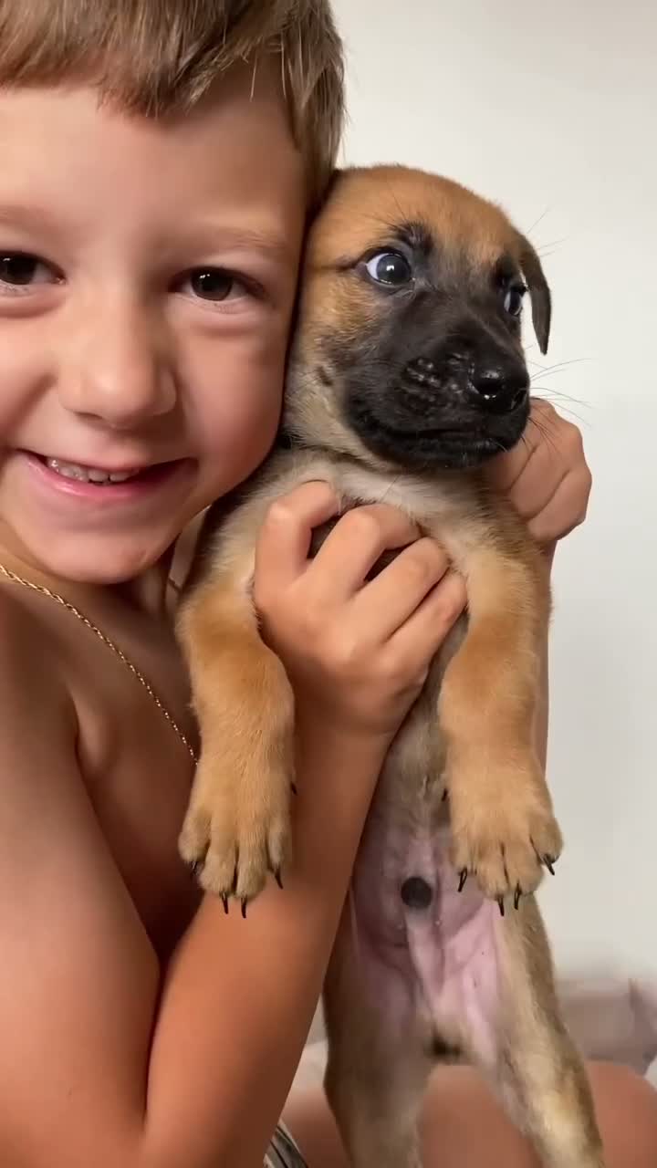 Mixed Breed dogs for sale: Mixed pup READY NOW - Video 1