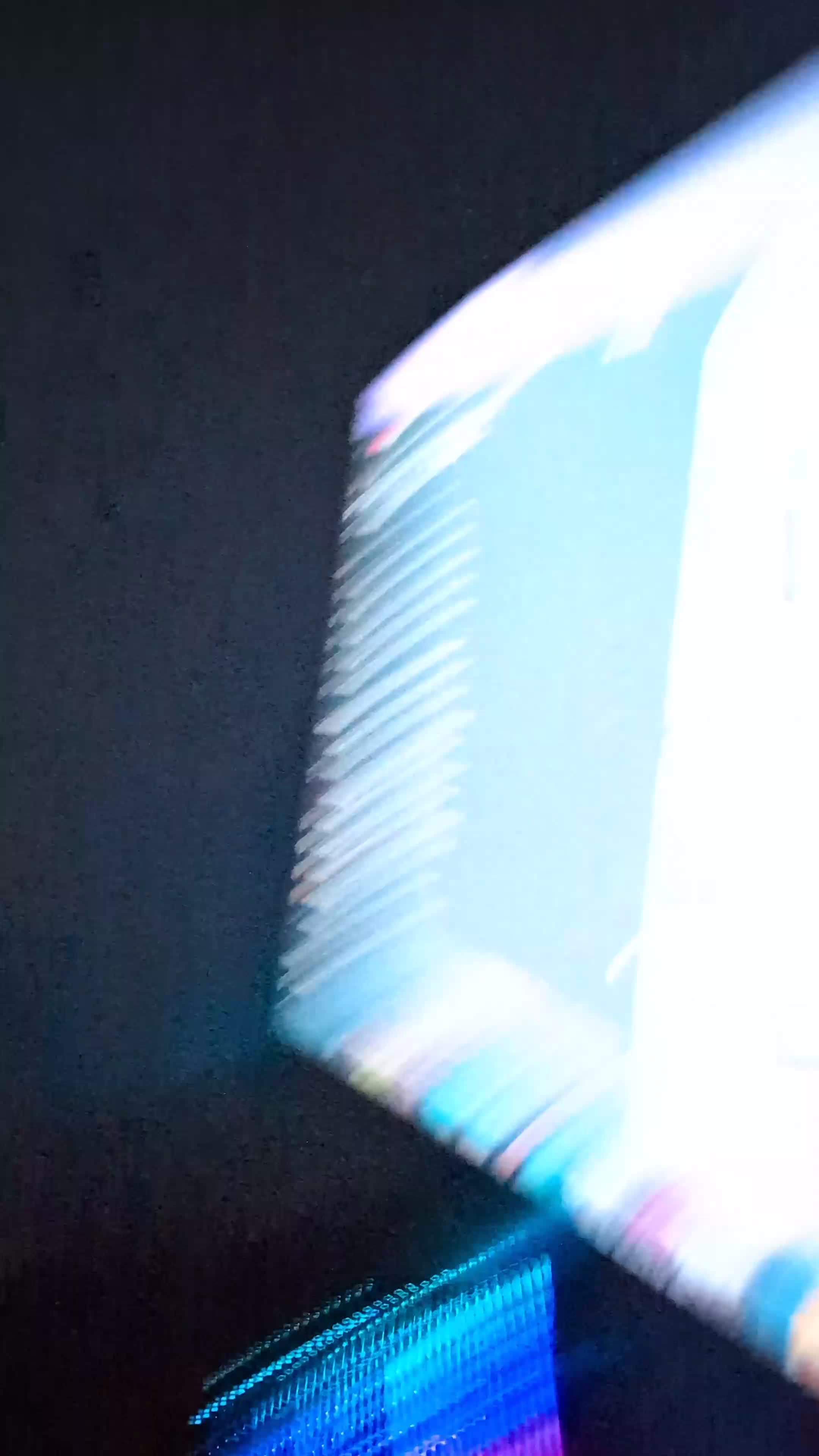 Ragdoll cats for stud: Handsome Ragdoll Stud  Blue Eyes, Gentle Heart 💙 - Video 1