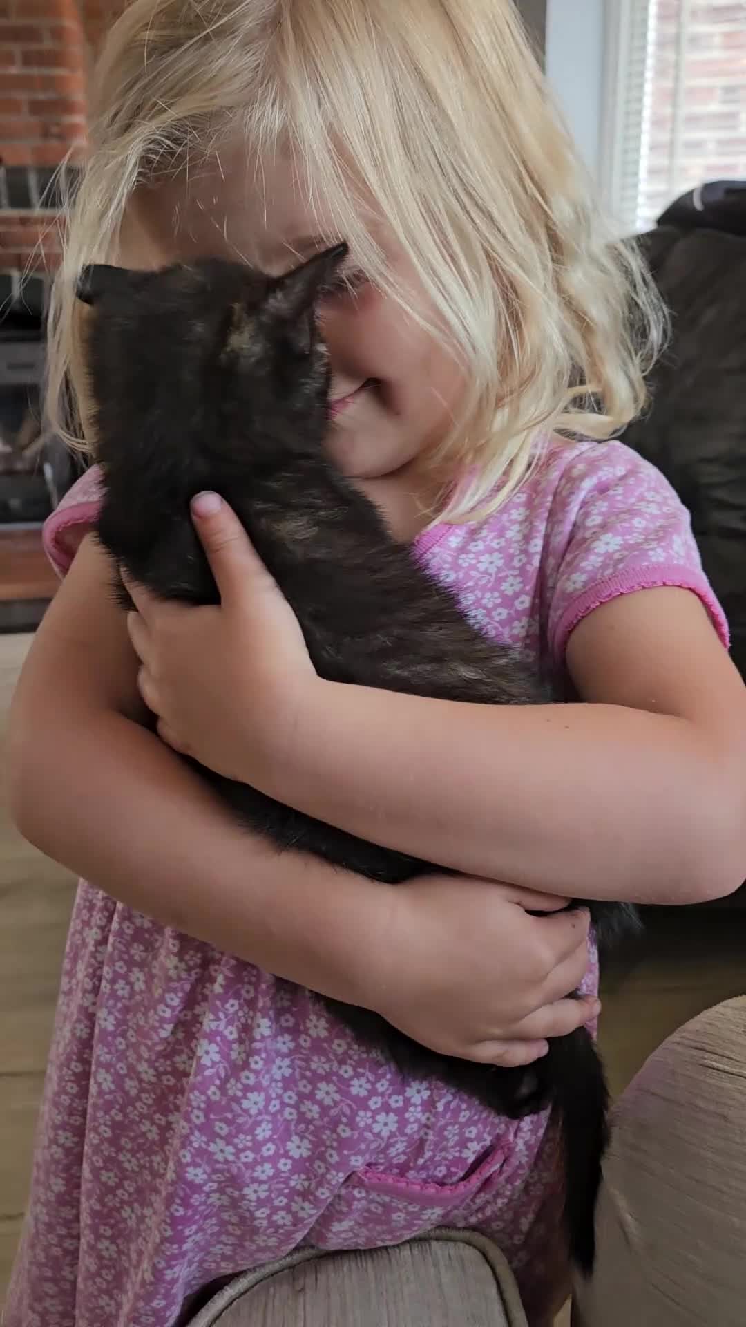 Mixed Breed cats for sale: Ugly but loving kit looking for his forever home - Video 2