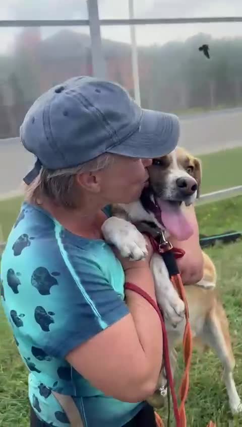 German Shepherd dogs for adoption: Bentley’s Story: From Chains to Freedom - Video 1
