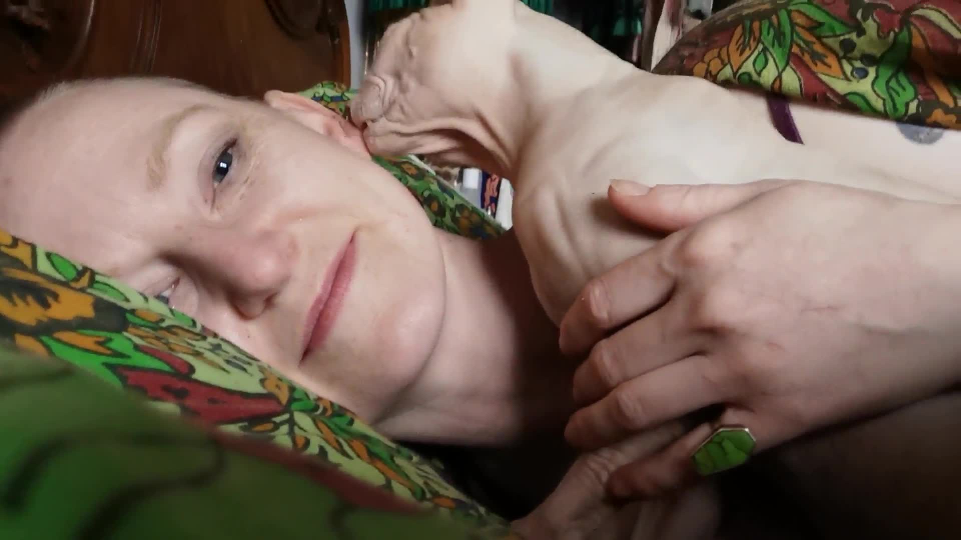 Sphynx cats for stud: Sphynx boy for stud  in Southampton - Video 1