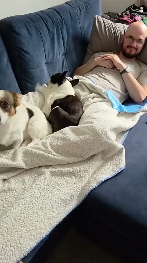 Mixed Breed dogs for adoption: 🐾🤍🤎 JESSY – LITTLE DOG, LOTS OF LOVE 🤎🤍🐾 in Wigan - Video 3
