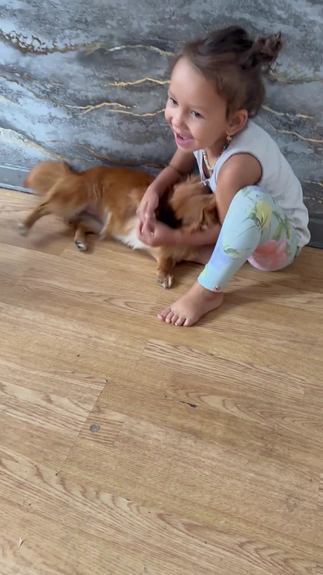 Mixed Breed dogs for sale: Layla - Video 1