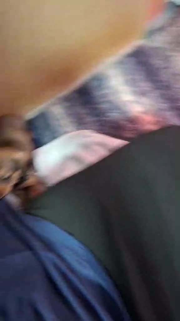 Miniature Dachshund dogs for sale: 5 gorgeous miniature dachshund puppies for sale  - Video 2