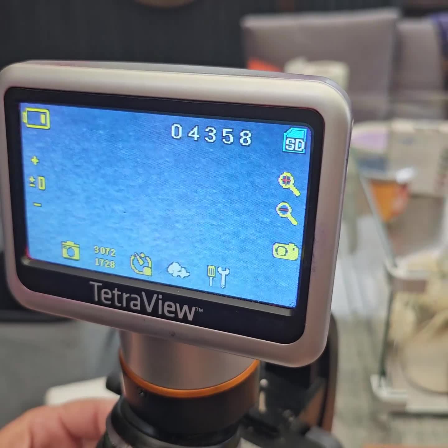 Maltese dogs for stud:  KC Maltese stud Korean line  in Derby - Video 4