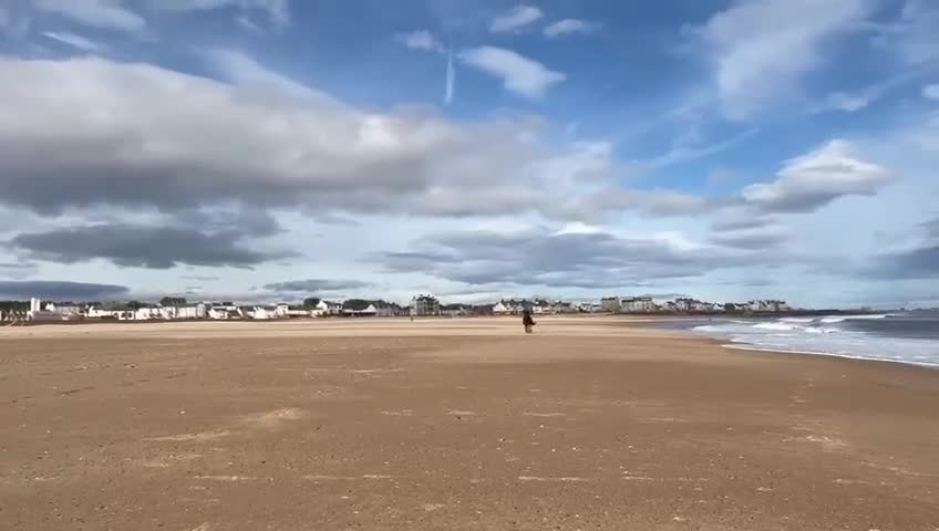 Trotter horses for sale: Ruby project mare for sale  - Video 3