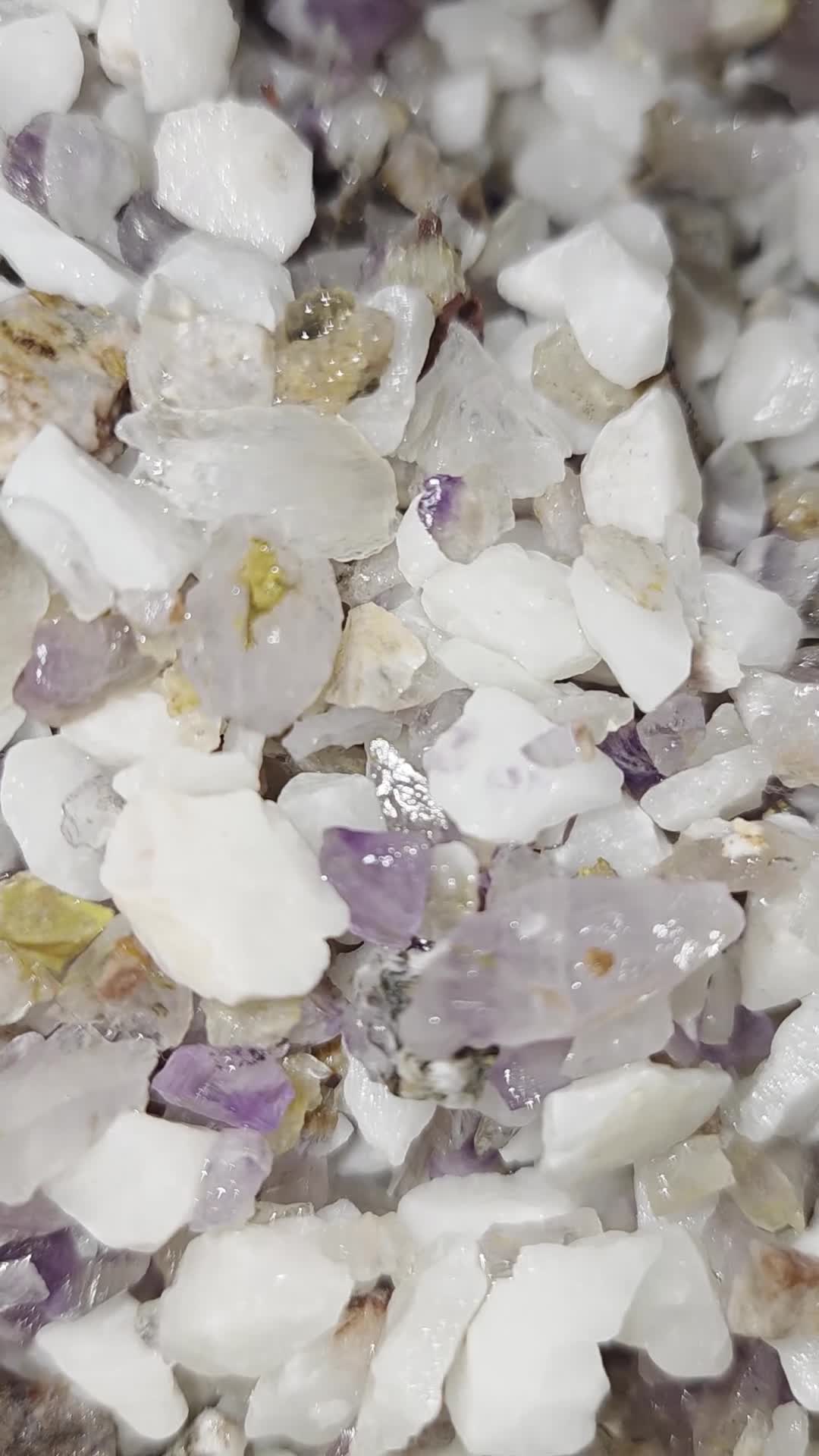 Danios fish for sale: Biorb loop 30ltr with accessories  in Sheffield - Video 1