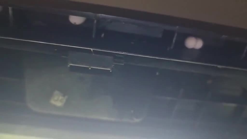 Gecko reptiles for sale: Mourning Gecko hatchlings. - Video 1