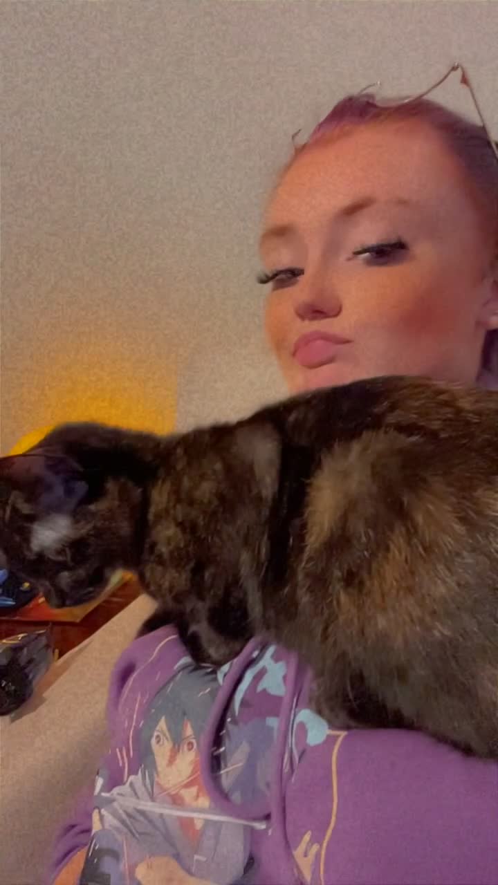 Ragdoll cats for sale: Milo & Smudge - Video 2