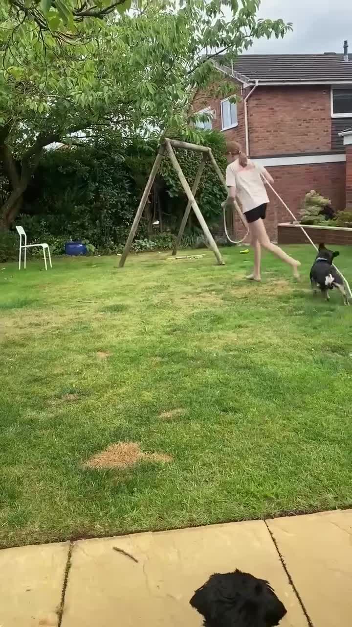 French Bulldog dogs for sale: Beautiful kc reg boy seeking family to love him - Video 1