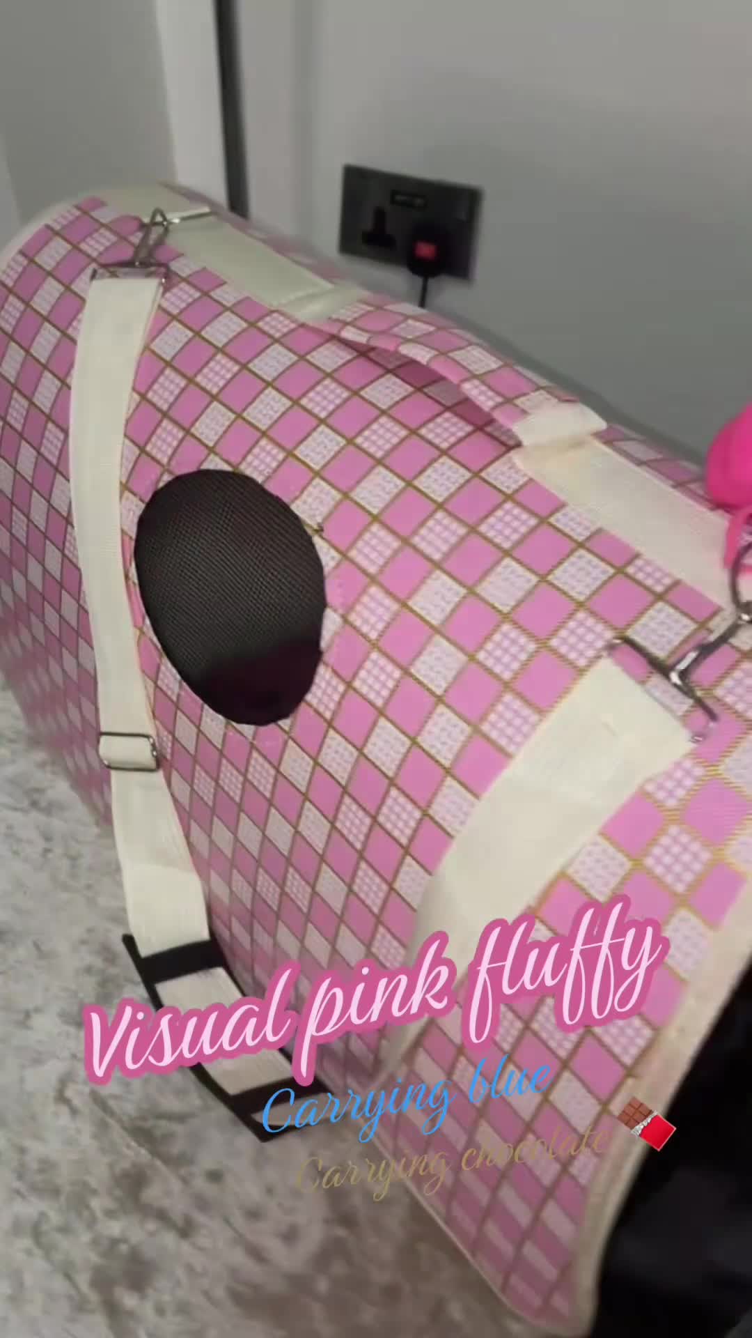 French Bulldog dogs for sale: Fluffy French Bulldogs Visual pink to make you 😉  - Video 4