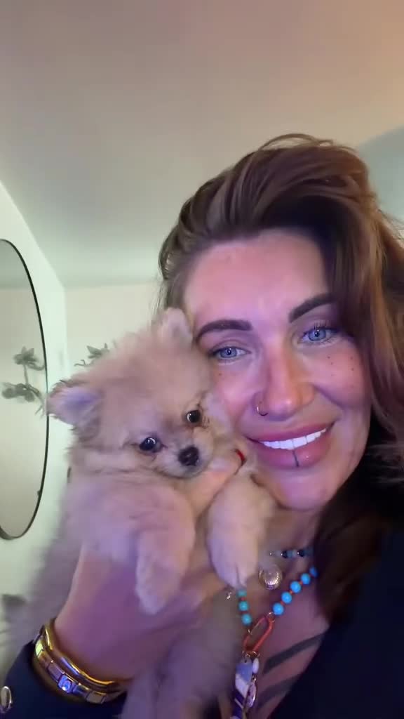 Pomeranian dogs for sale: Beautiful sable little girl - Video 1