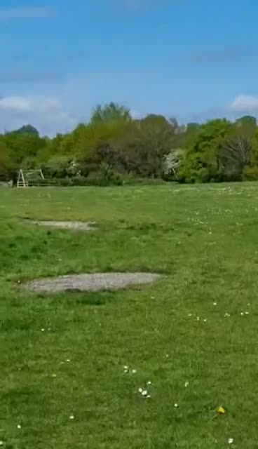 Irish Sports horses for sale: Monty in Nottingham - Video 1