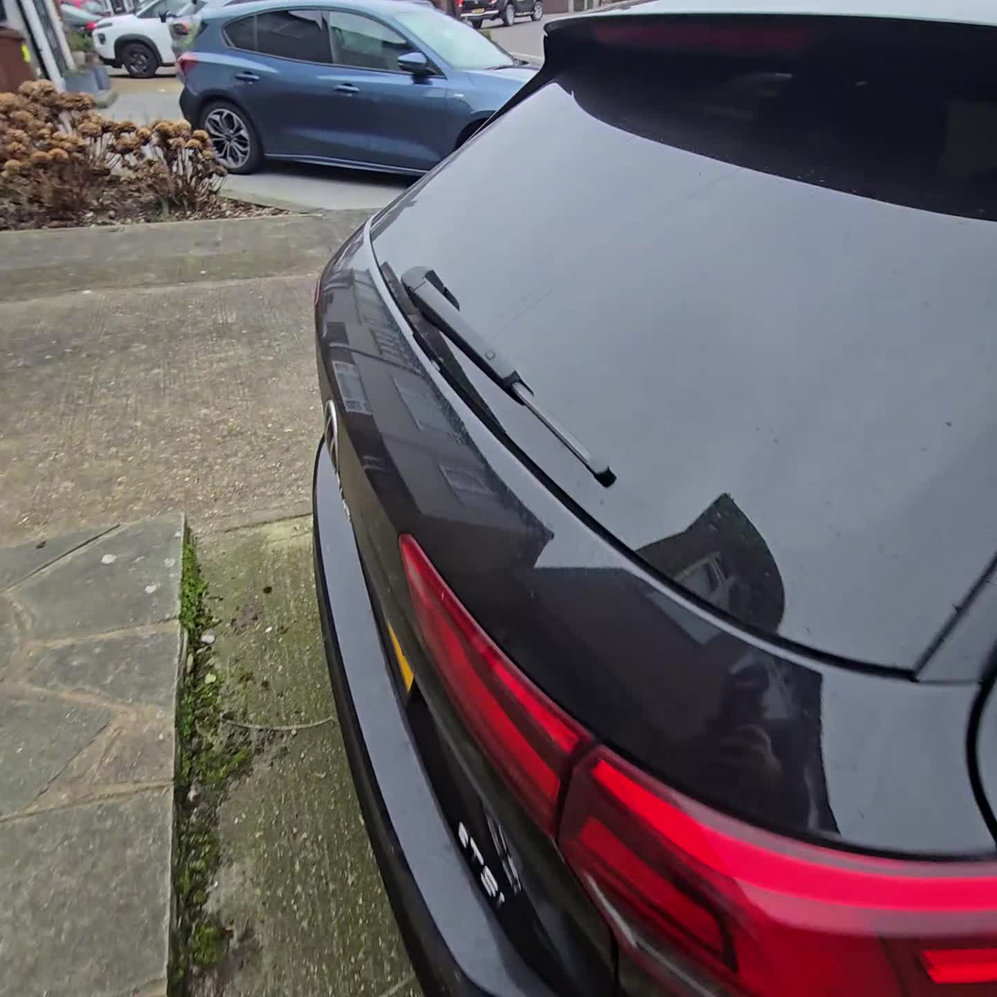 Labrador Retriever dogs for sale: Professionally Trained Labrador  - Video 5