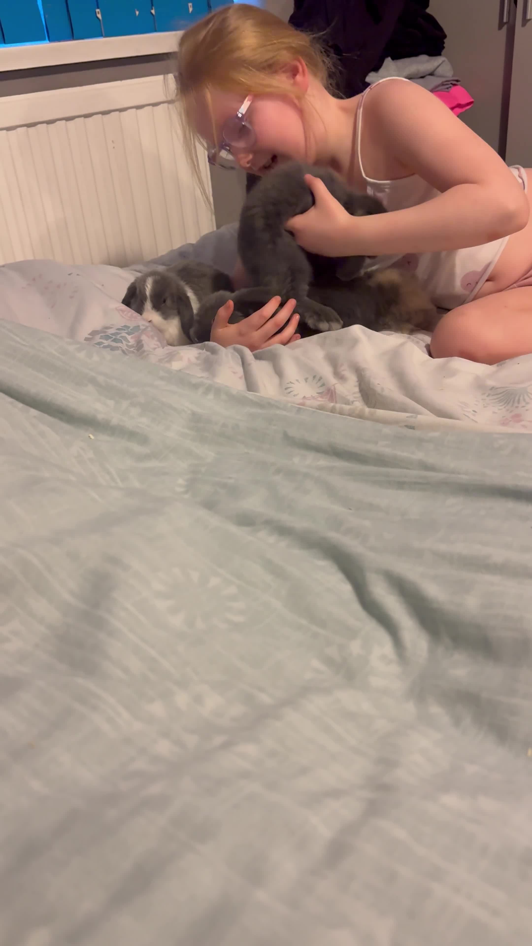 Mini Lop rabbits for sale: Mini lop bunnies - VERY friendly  - Video 1