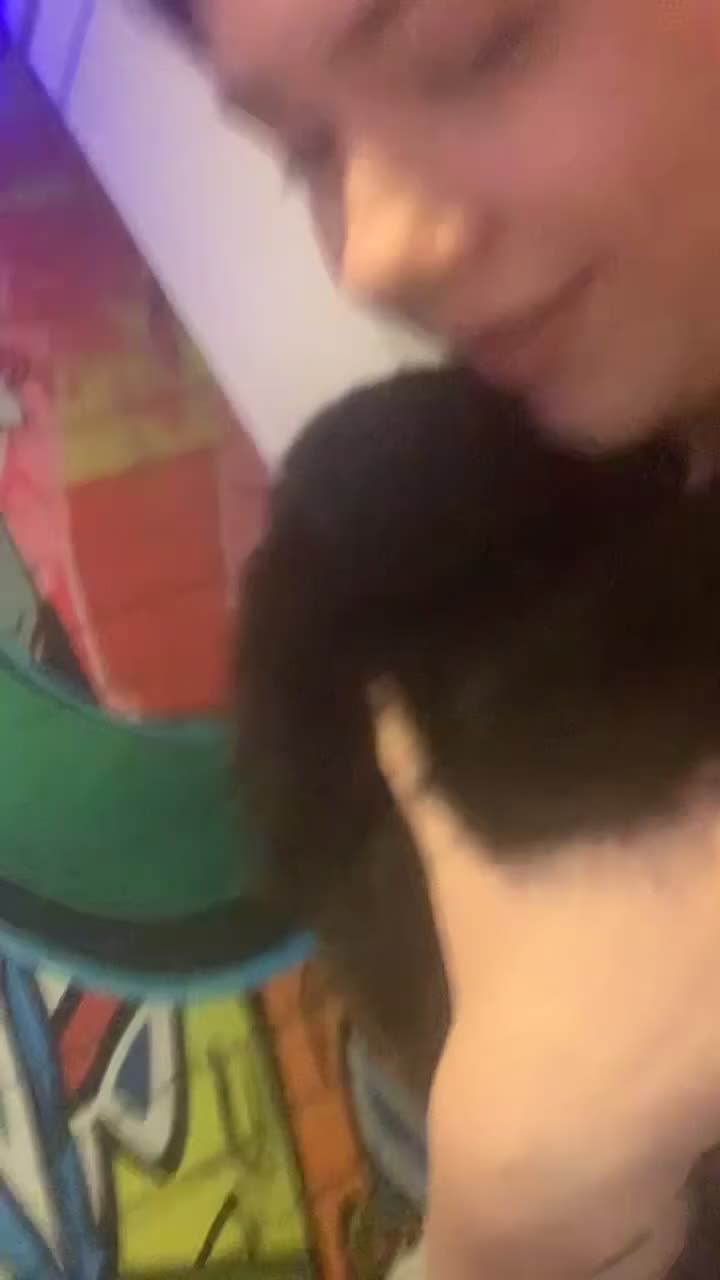 Chow Chow dogs for sale: Black and brown male chow chows  - Video 4