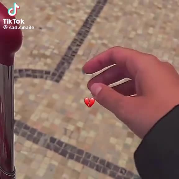 British Shorthair cats for sale: Sweet kitty  - Video 1